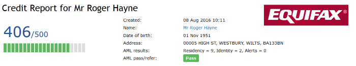 Credit Report Screenshot